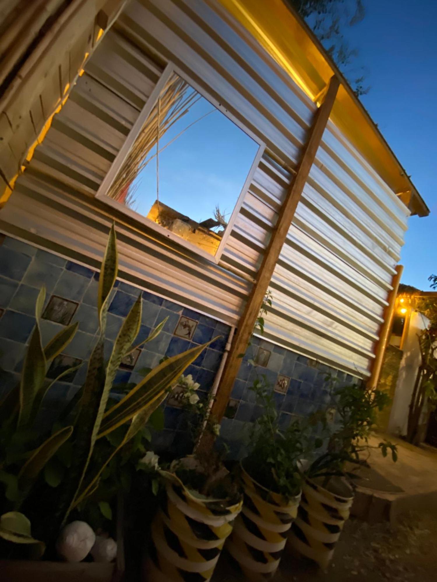 Aloha Surf Hostel San José del Cabo Eksteriør bilde